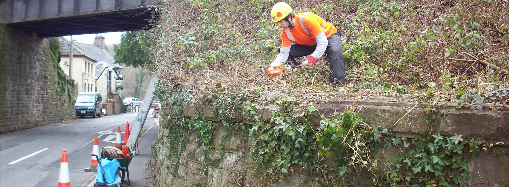 Specialist Access, De-vegetation