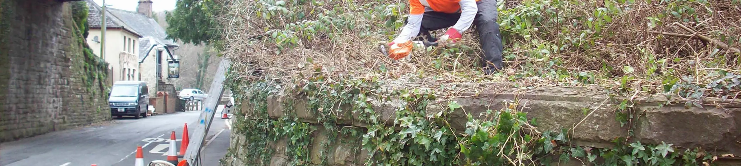 Specialist Access, De-vegetation Specialist Access, De-vegetation