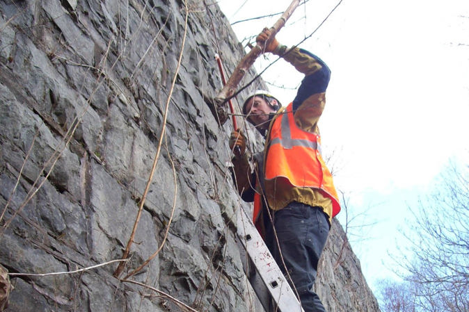 Specialist Access, Removing branches from a bridge