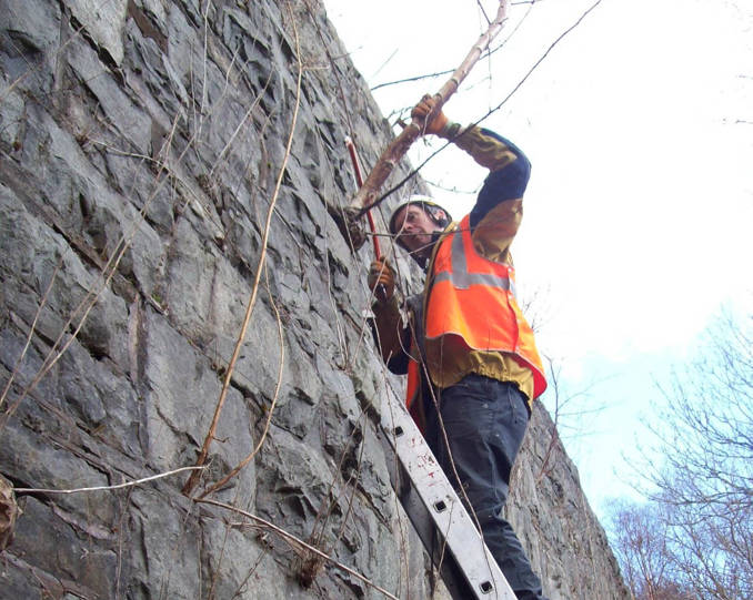 Specialist Access, Removing branches from a bridge